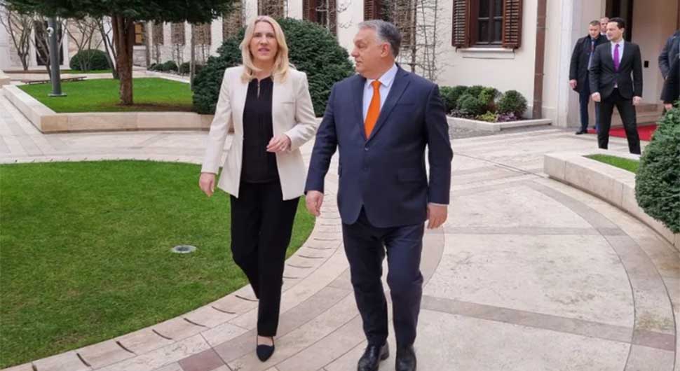 cvijanovic orban2.jpg